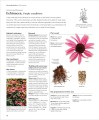Фото Encyclopedia of Herbal Medicine 7