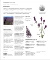 Фото Encyclopedia of Herbal Medicine 9