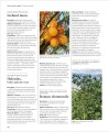 Фото Encyclopedia of Herbal Medicine 11