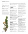 Фото Encyclopedia of Herbal Medicine 13