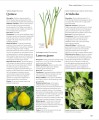 Фото Encyclopedia of Herbal Medicine 14