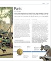 Фото Great Cities: The Stories Behind the World’s most Fascinating Places 12