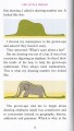 Фото The Little Prince 4