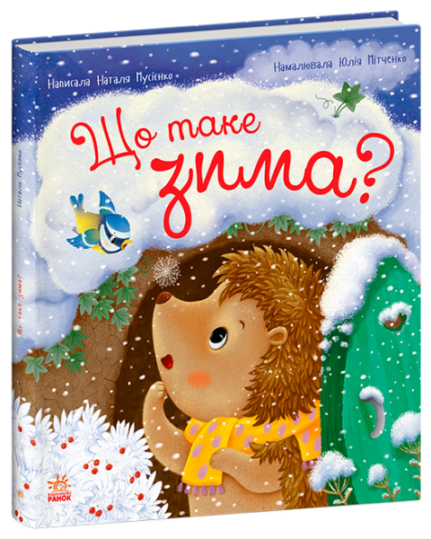 Фото Що таке зима