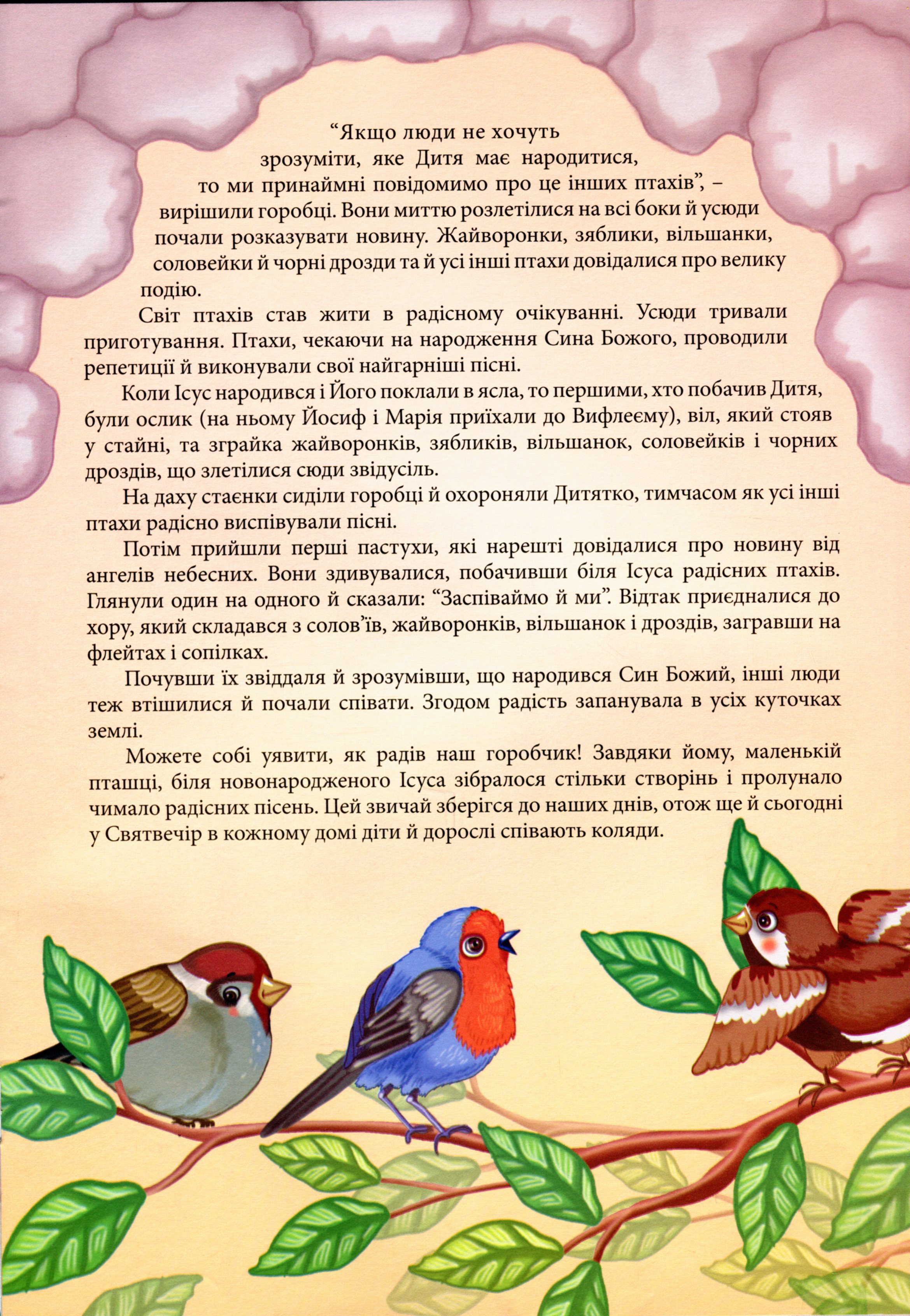 Hidden Product Image 8