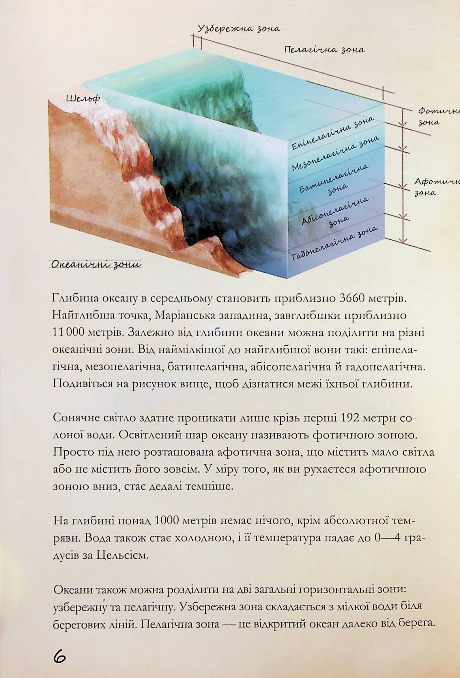 Hidden Product Image 7