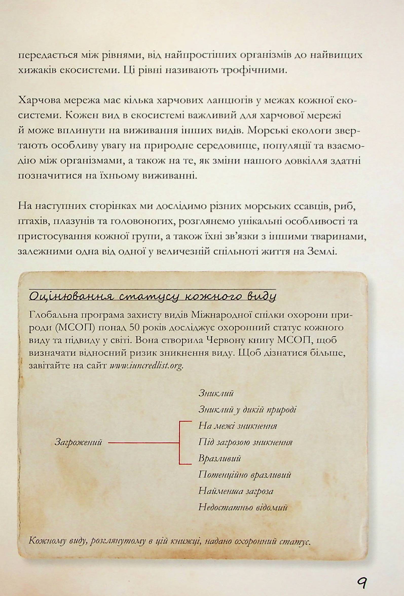 Hidden Product Image 10