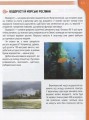 Фото Мешканці морів та океанів 5