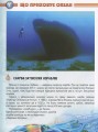 Фото Мешканці морів та океанів 10