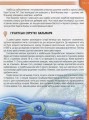 Фото Мешканці морів та океанів 11