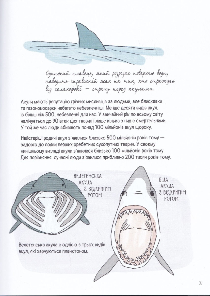 Hidden Product Image 7