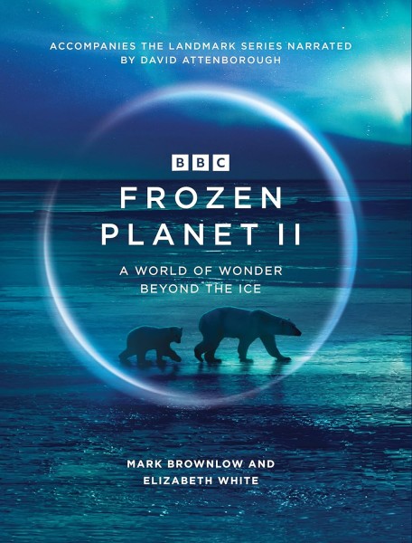 Фото Frozen Planet II: A World of Wonder Beyond the Ice