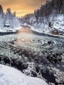Фото Frozen Planet II: A World of Wonder Beyond the Ice 4