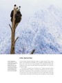 Фото Frozen Planet II: A World of Wonder Beyond the Ice 5