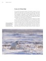 Фото Frozen Planet II: A World of Wonder Beyond the Ice 7