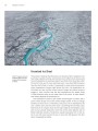 Фото Frozen Planet II: A World of Wonder Beyond the Ice 9
