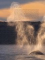 Фото Planet Earth III 2