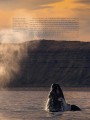 Фото Planet Earth III 3