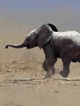 Фото Planet Earth III 4