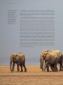 Фото Planet Earth III 6