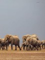 Фото Planet Earth III 7