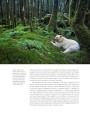 Фото Planet Earth III 9
