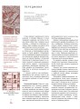 Фото Естетика українського рукописного шрифту 2