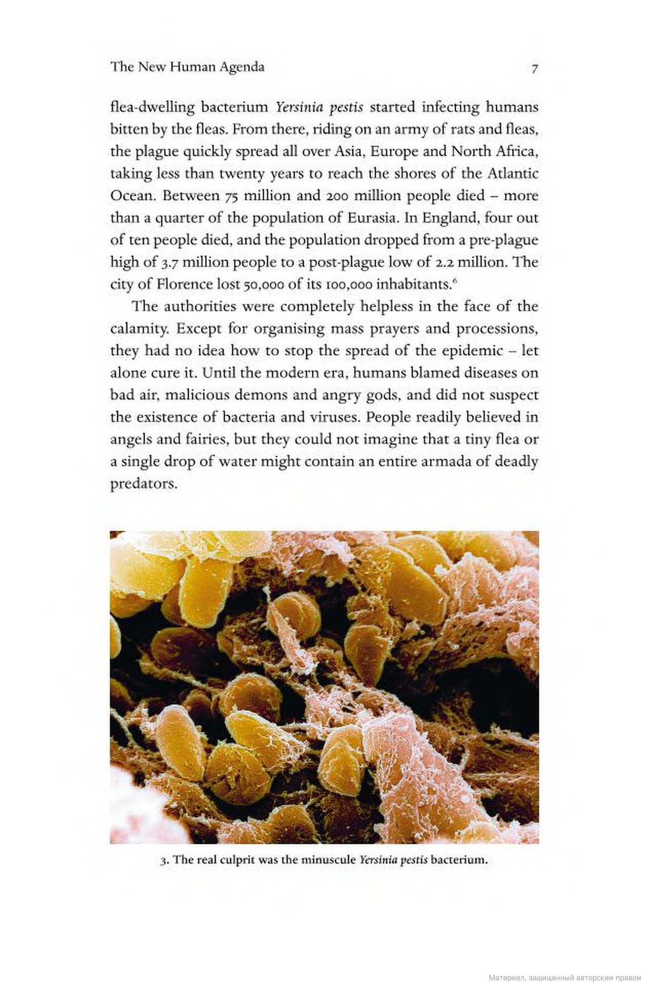 Hidden Product Image 8