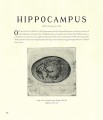 Фото Fantastic Beasts and Where to Find Them. Illustrated Edition 6