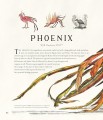 Фото Fantastic Beasts and Where to Find Them. Illustrated Edition 10