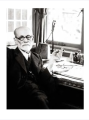 Фото Freud 5