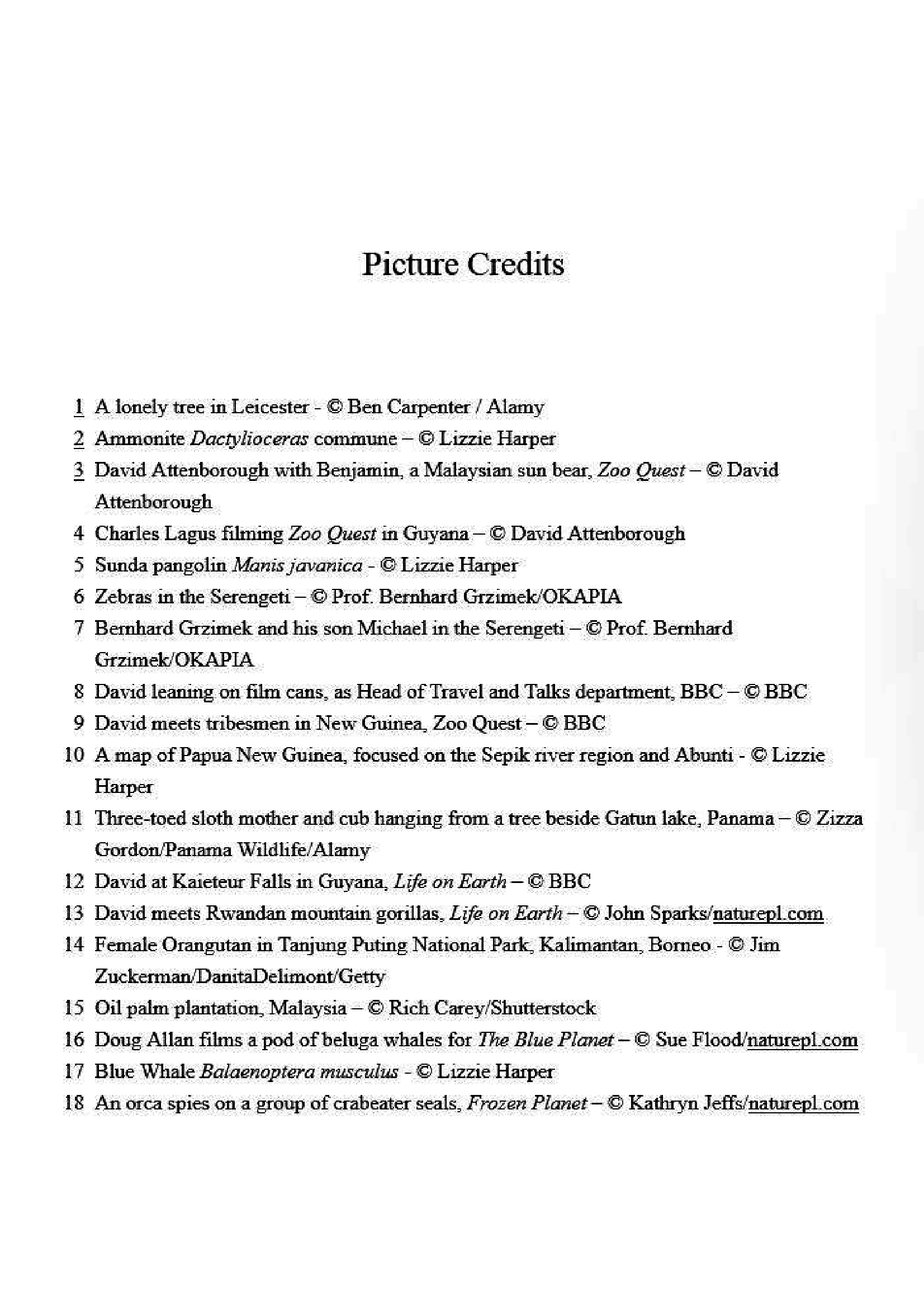Hidden Product Image 6