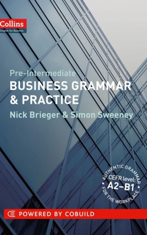 Business Grammar and Practice A2-B1