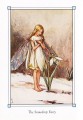 Фото Flower Fairies of the Winter 4