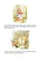 Фото Peter Rabbit 23-Volume Library Collection 9
