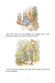 Фото Peter Rabbit 23-Volume Library Collection 10
