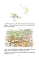 Фото Peter Rabbit 23-Volume Library Collection 12