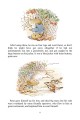 Фото Peter Rabbit 23-Volume Library Collection 13