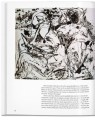 Фото Pollock 2