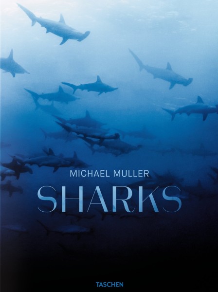 Фото Michael Muller. Sharks