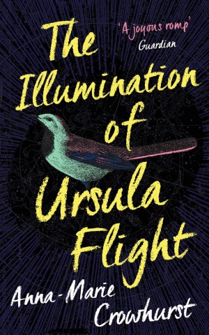 The Illumination of Ursula Flight