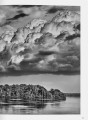 Фото Amazônia 3