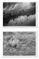 Фото Postcard Set 2