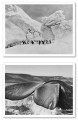 Фото Postcard Set 5