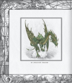 Фото The Ultimate Illustrated Compendium: The Complete Guide to Dragons 11