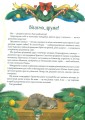 Фото Різдвяна подорож 2