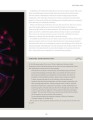 Фото Tesla. The Man, the Inventor, and the Father of Electricity 5