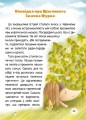 Фото Билиці й небилиці з чарівної рукавиці 3