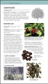 Фото Herbal Remedies Handbook 3