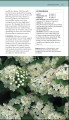 Фото Herbal Remedies Handbook 4